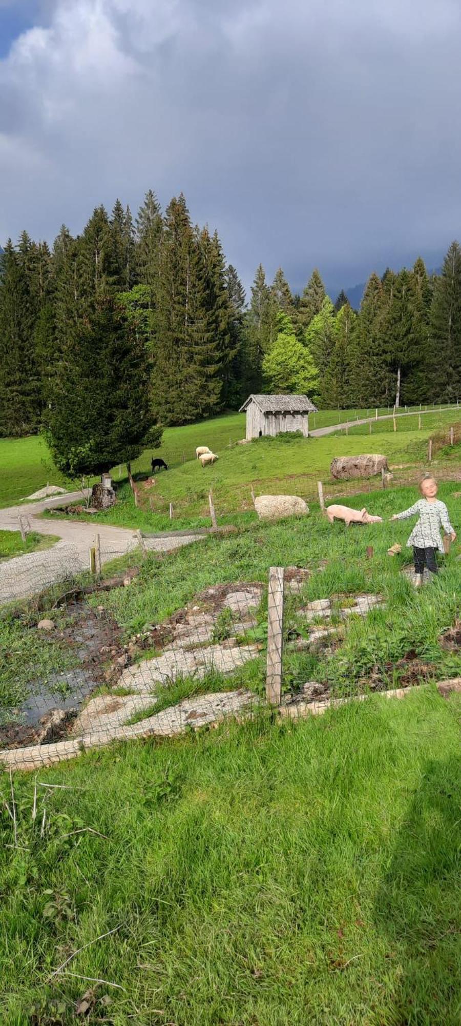Jausenstation Neuschwand Vila Hittisau Exterior foto