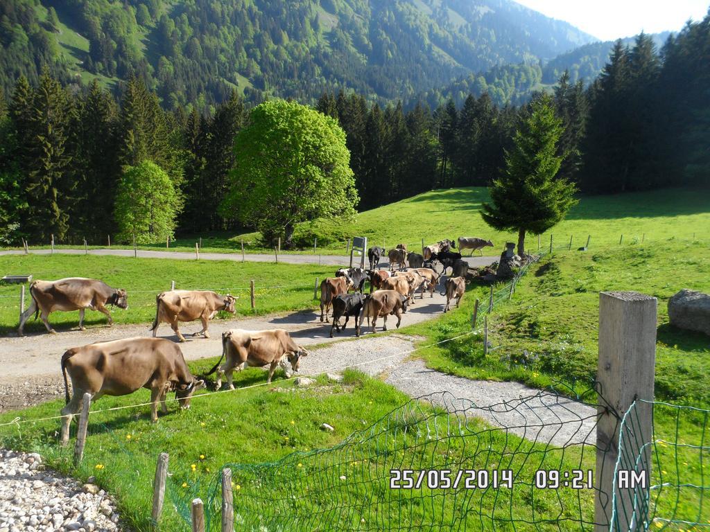 Jausenstation Neuschwand Vila Hittisau Exterior foto