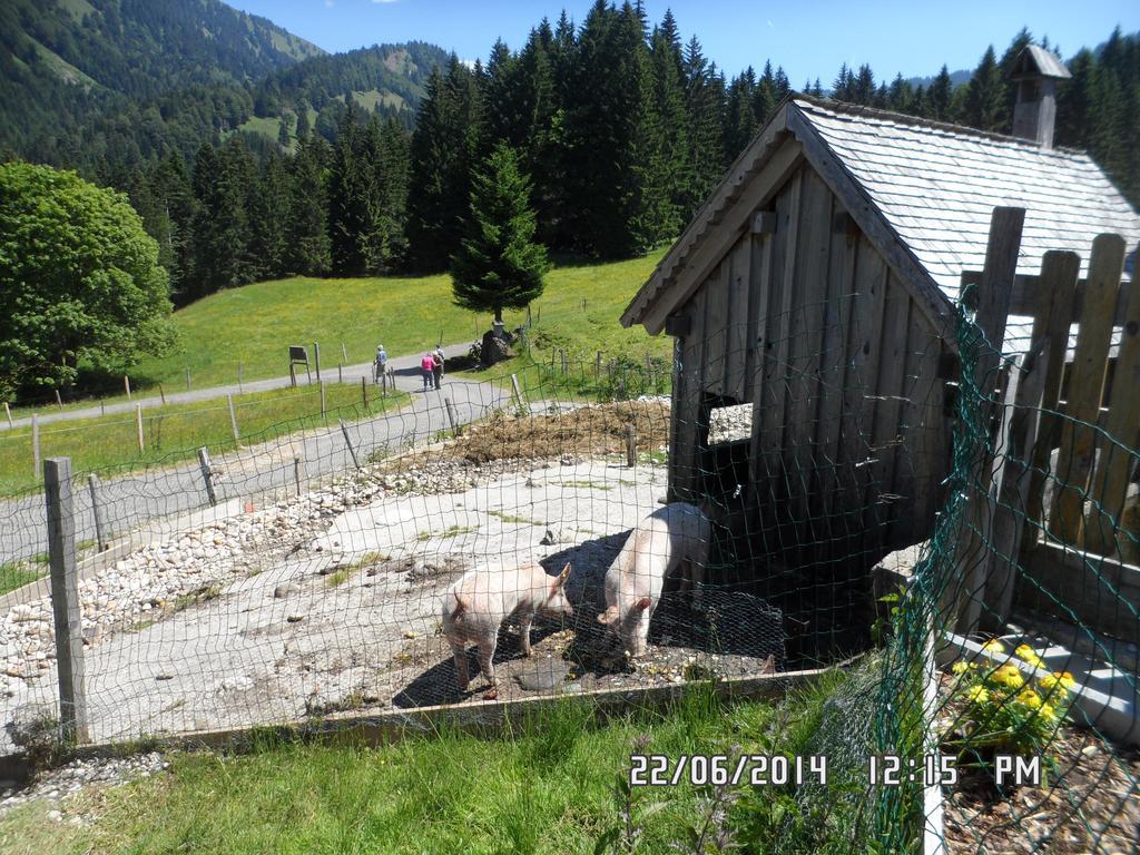 Jausenstation Neuschwand Vila Hittisau Exterior foto
