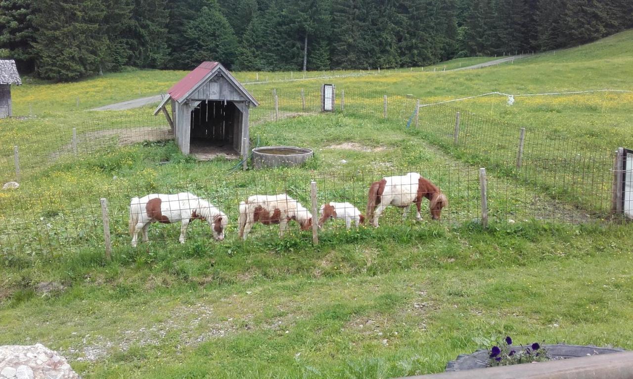 Jausenstation Neuschwand Vila Hittisau Exterior foto
